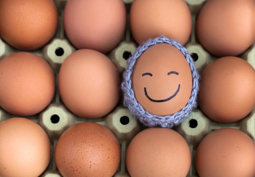 Cartón de huevos con uno en un soporte de punto con una cara sonriente