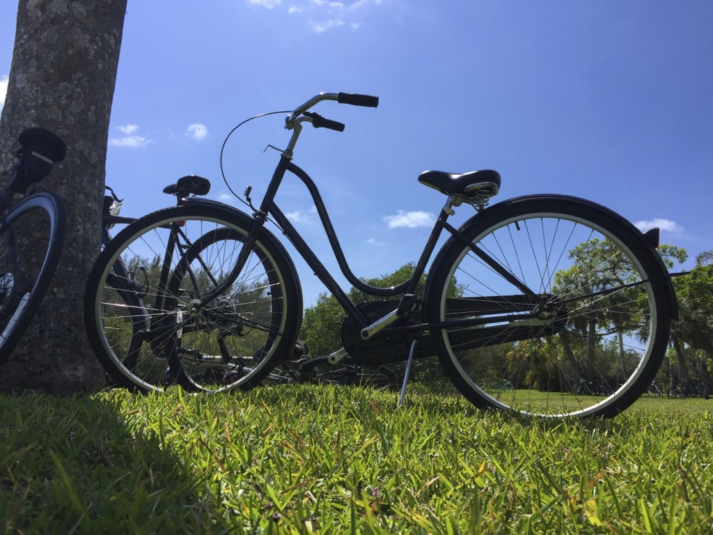 Bicicleta en hierba junto al árbol