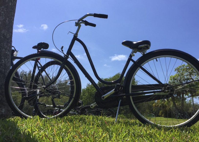 Bicicleta en hierba junto al árbol